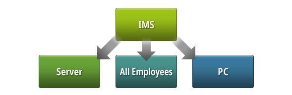 Corporate Governance Structure